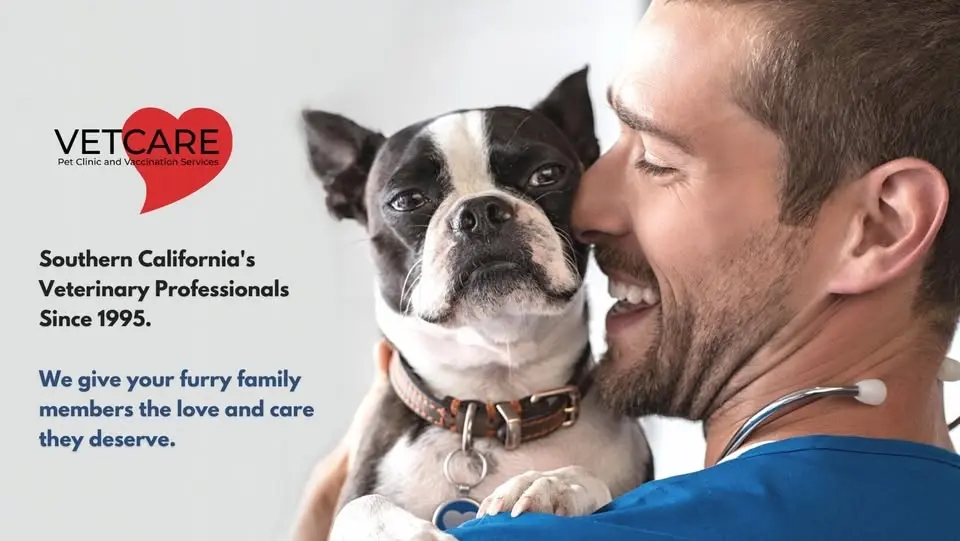 Affordable Pet Vaccine Clinic - Blacksmith's Corner