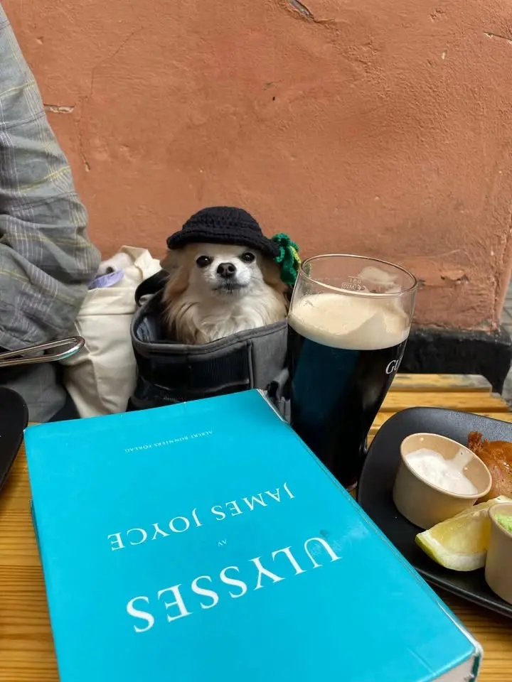 Bloomsday