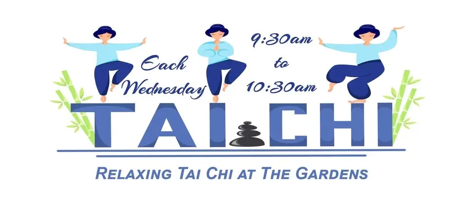 Relaxing Tai Chi at The Gardens