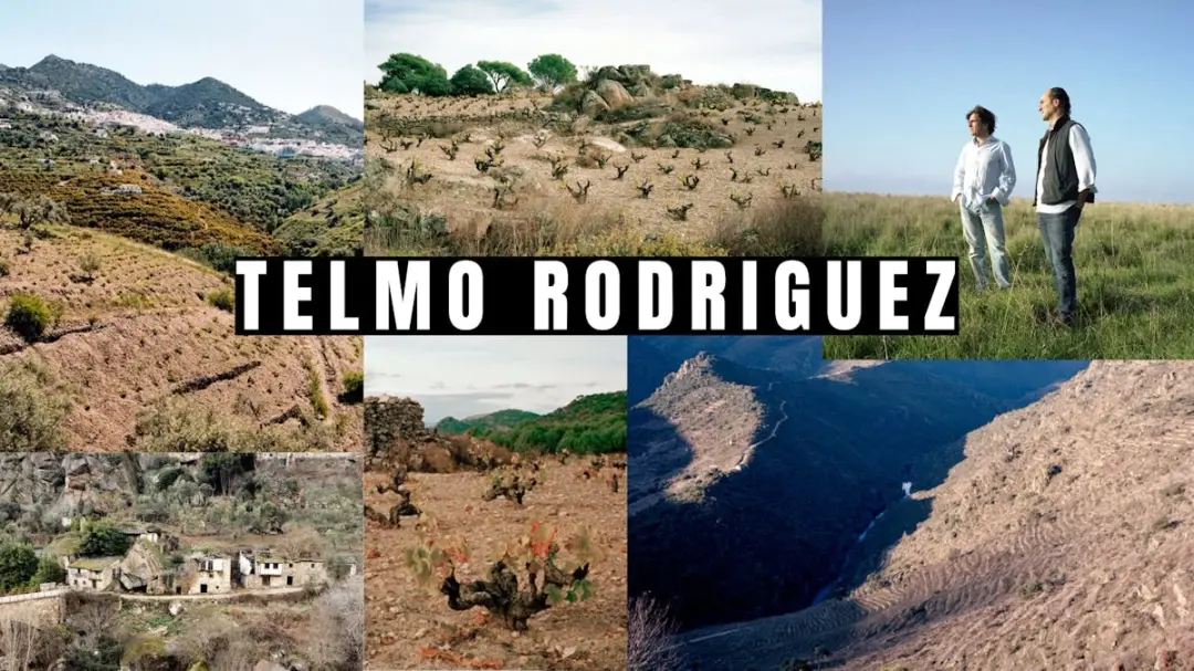 Telmo Rodriguez Edsbacka 