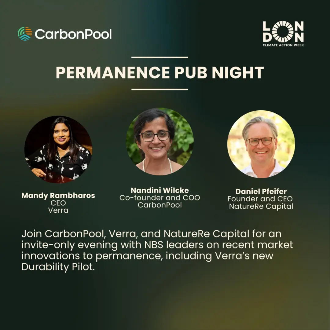 Permanence Pub Night