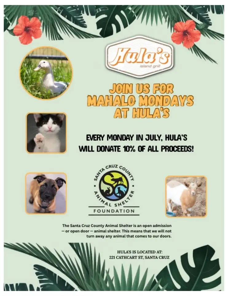 Mahalo Mondays at Hula's Island Grill Fundraiser