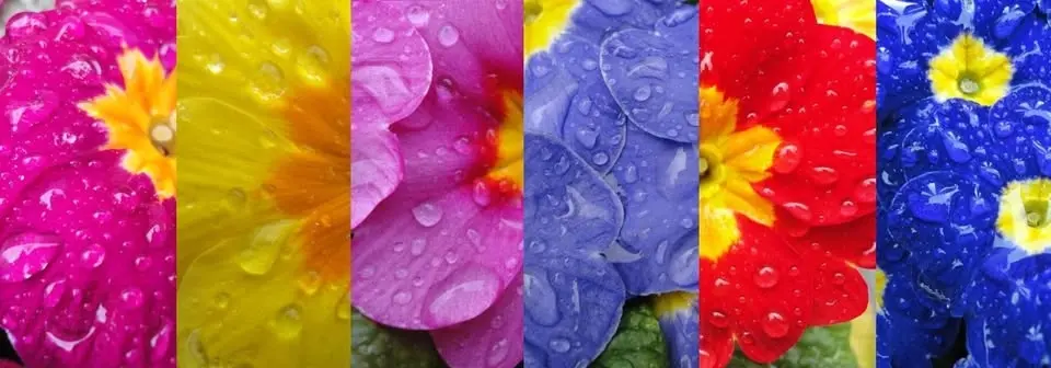 craft show