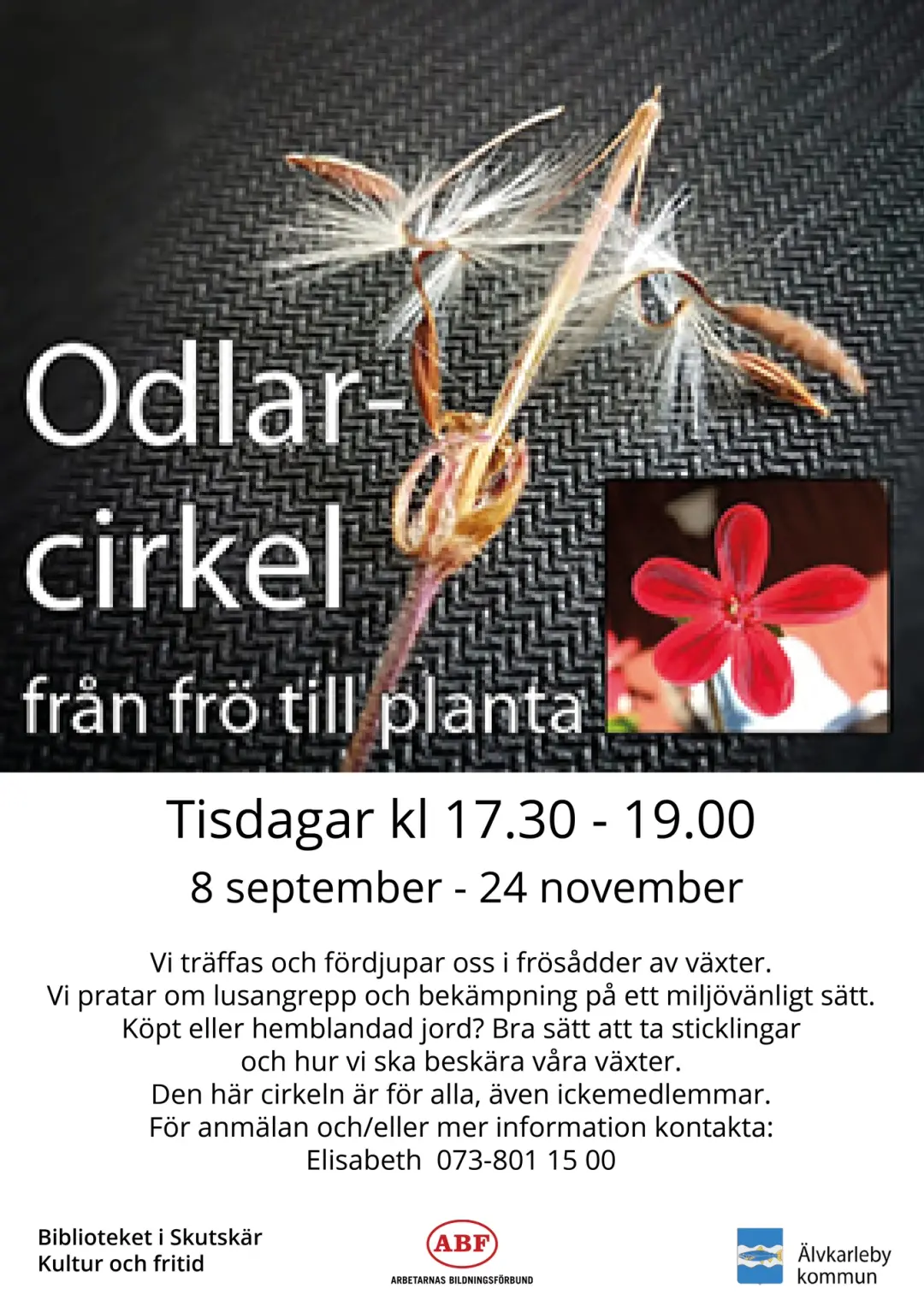 Odlarcirkel