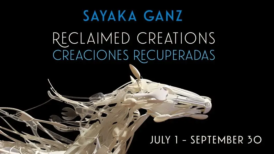 Sayaka Ganz: Sculpting Motion from Plastic
