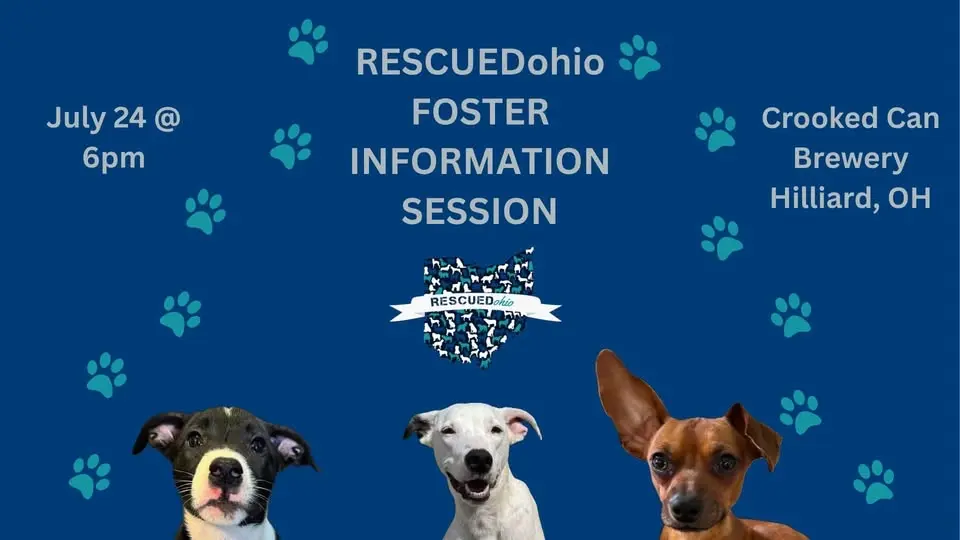RESCUEDohio Foster Information Session