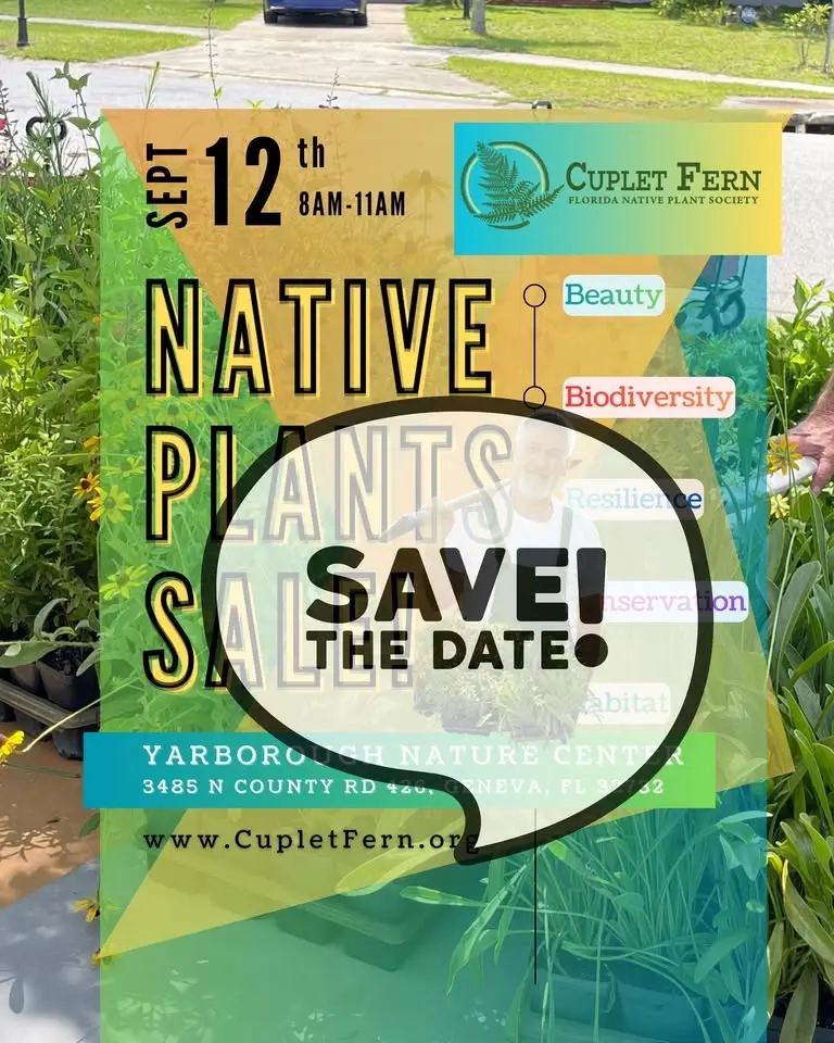 Mini Garden in a Tray & Native Plant Sale!