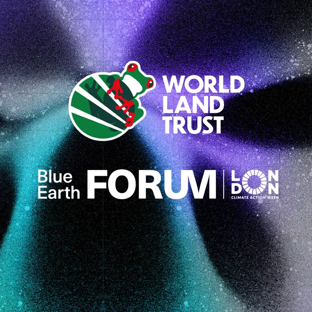 From First Footsteps to Lasting Impact: Turning Exploration into Conservation Action