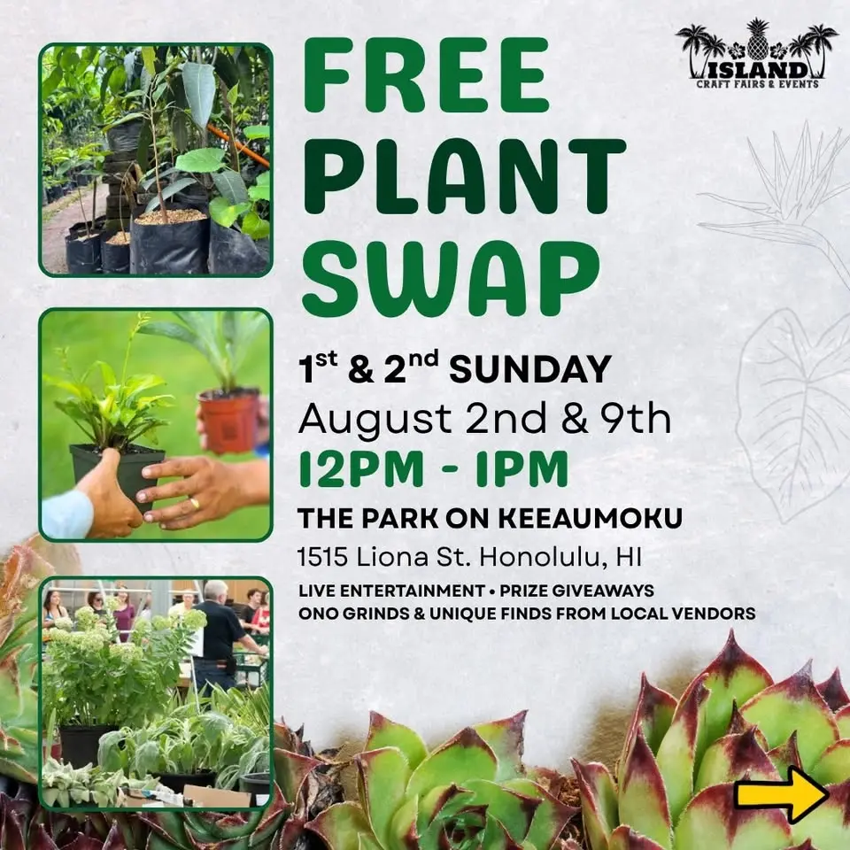 Free Plant Share🪴Aug 2 - The Park on Keeaumoku
