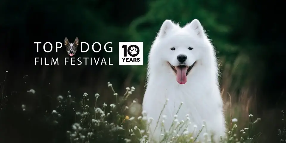 Top Dog Film Festival 2026 - Sydney Ritz Sun 16 Aug 2pm