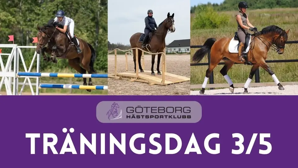 TRÄNINGSDAG 3/5