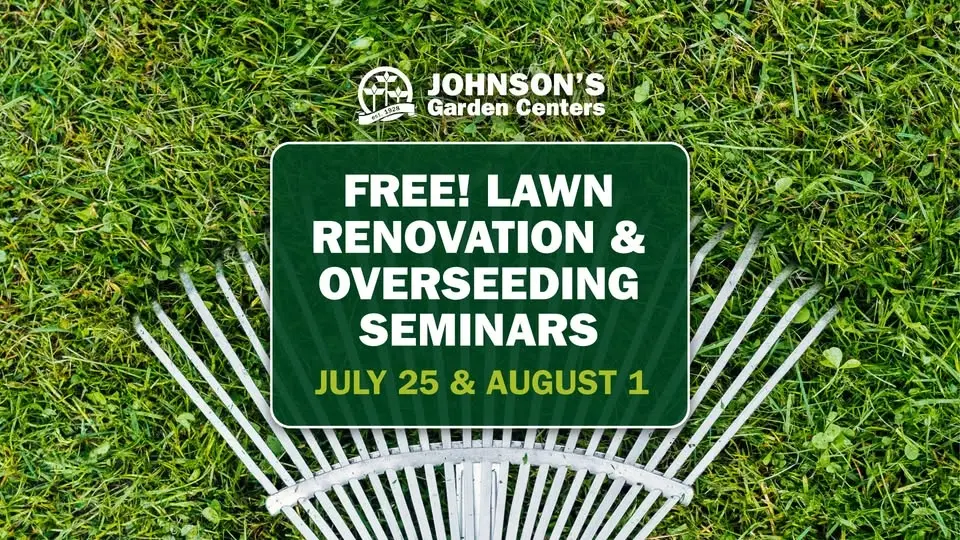 Summer Lawn Renovation & Overseeding Seminar - Both Johnson's Locations