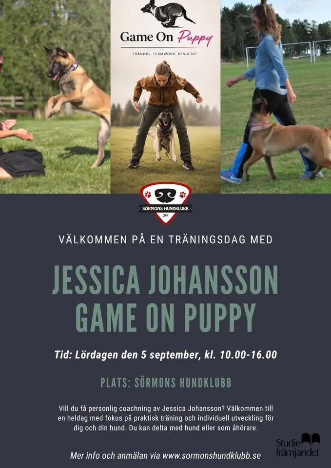 Träningsdag för ekipage & åhörare med Jessica Johansson