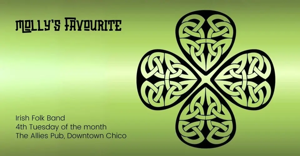 Molly's Favourite | Irish Folk Band at The Allies Pub