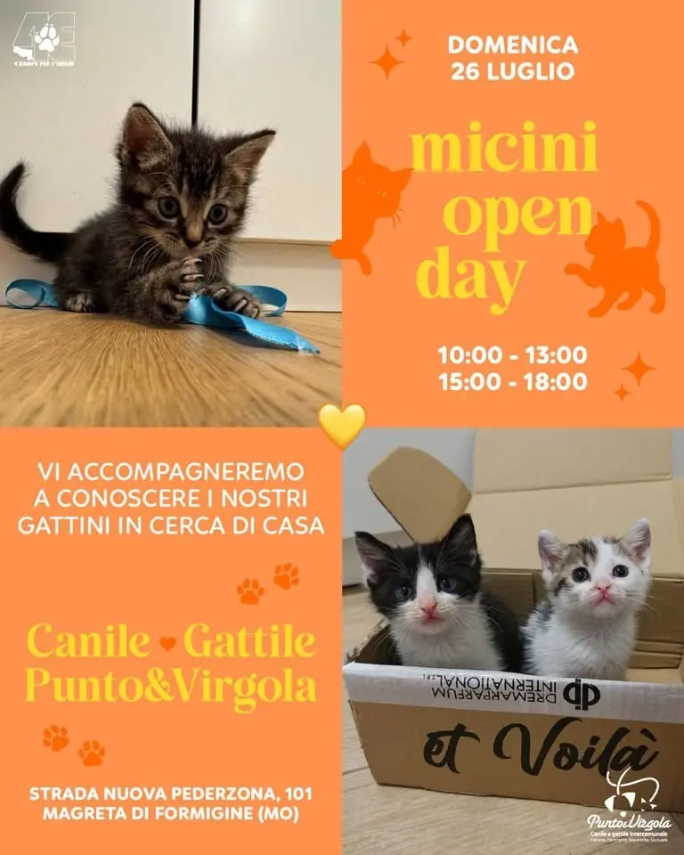 DOMENICA 26 LUGLIO dalle 10 alle 13 e dalle 15 alle 18