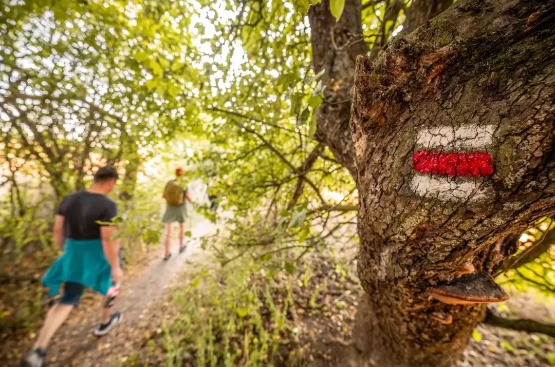 Komentovaná procházka – Přes Staré Hory krokem za Zaječím skokem