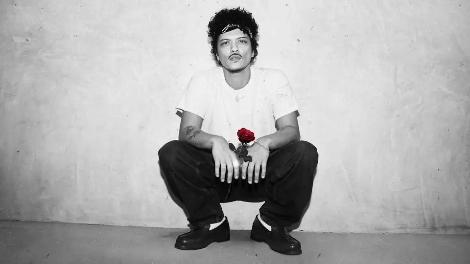 Bruno Mars | Parking P04 voucher (no entry to the show) max 2,8t