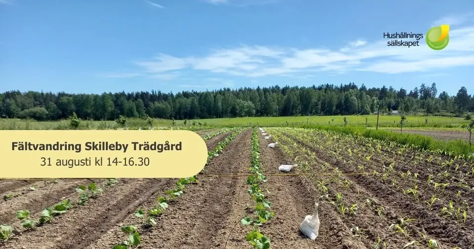 Fältvandring - Skilleby trädgård