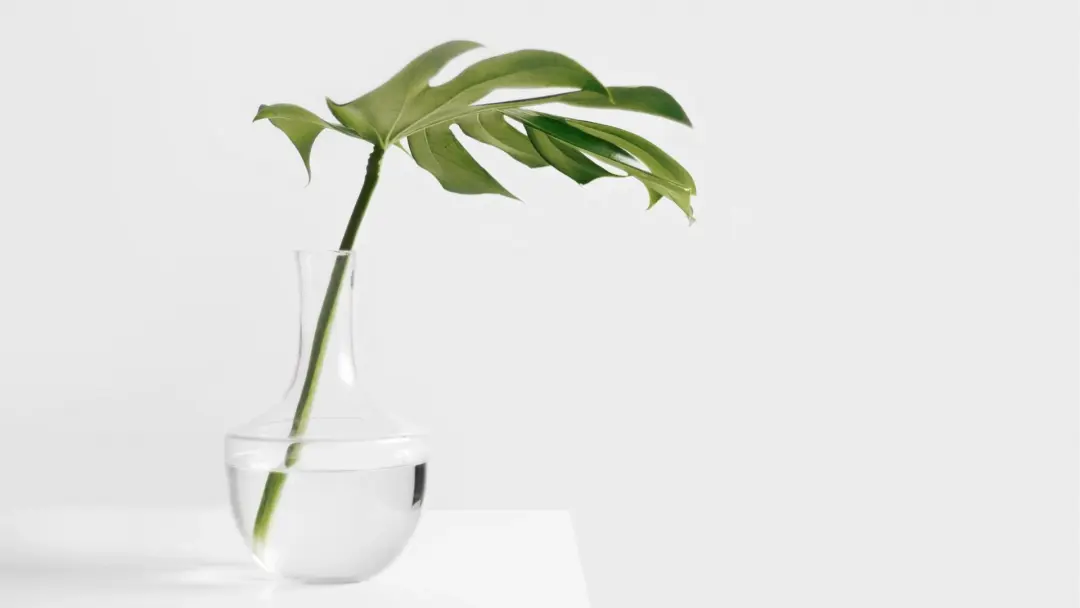 🌿 Créez, Transformez & Réalisez – Atelier DIY Écolo 🌿