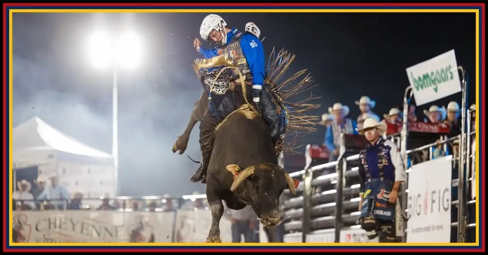 PRCA Xtreme Bulls