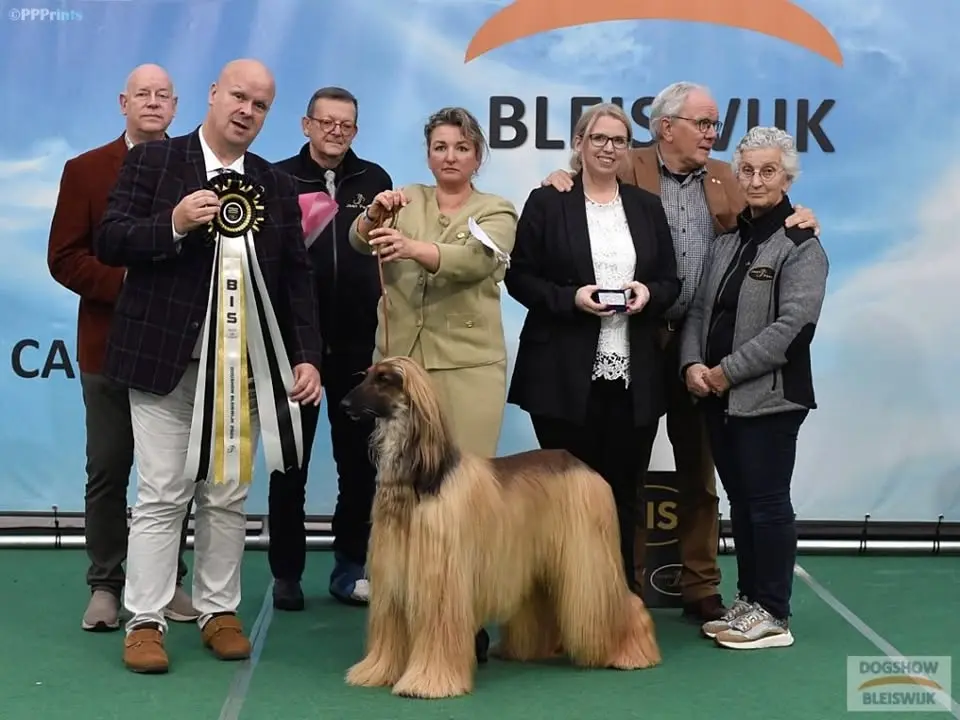 Internationale Hondenshow CAC-CACIB