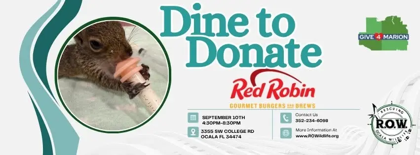 Dine to Donate: Red Robin