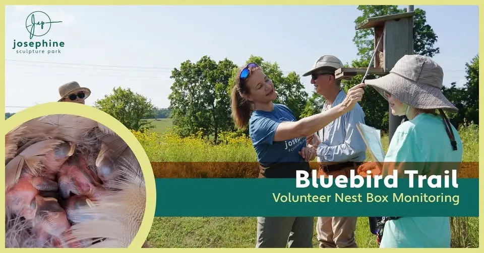 JSP Bluebird Trail Monitoring