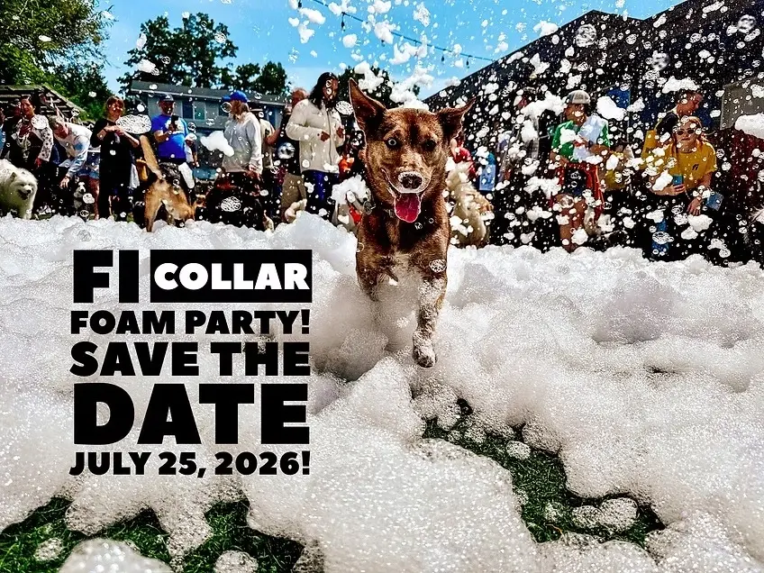 Fi Collar Foam Party