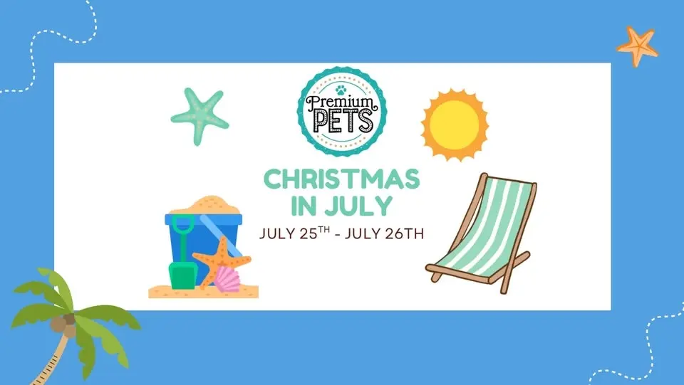 Christmas In July 🎅🏼☀️