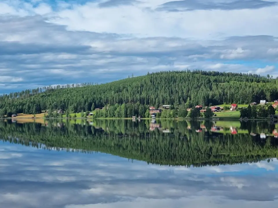 ByaLoppis i Sidskogen 