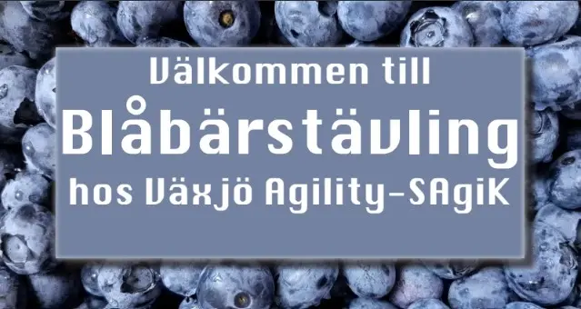 đ«BlĂ„bĂ€rstĂ€vling i Majđ«