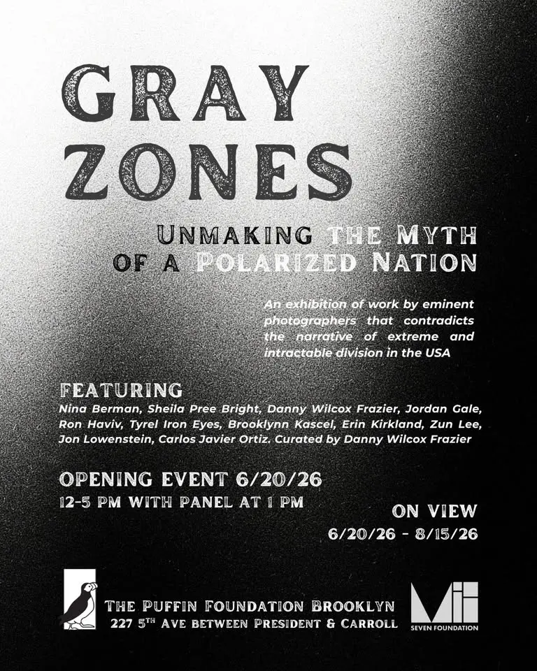 Gray Zones: Unmaking the Myth of a Polarized Nation