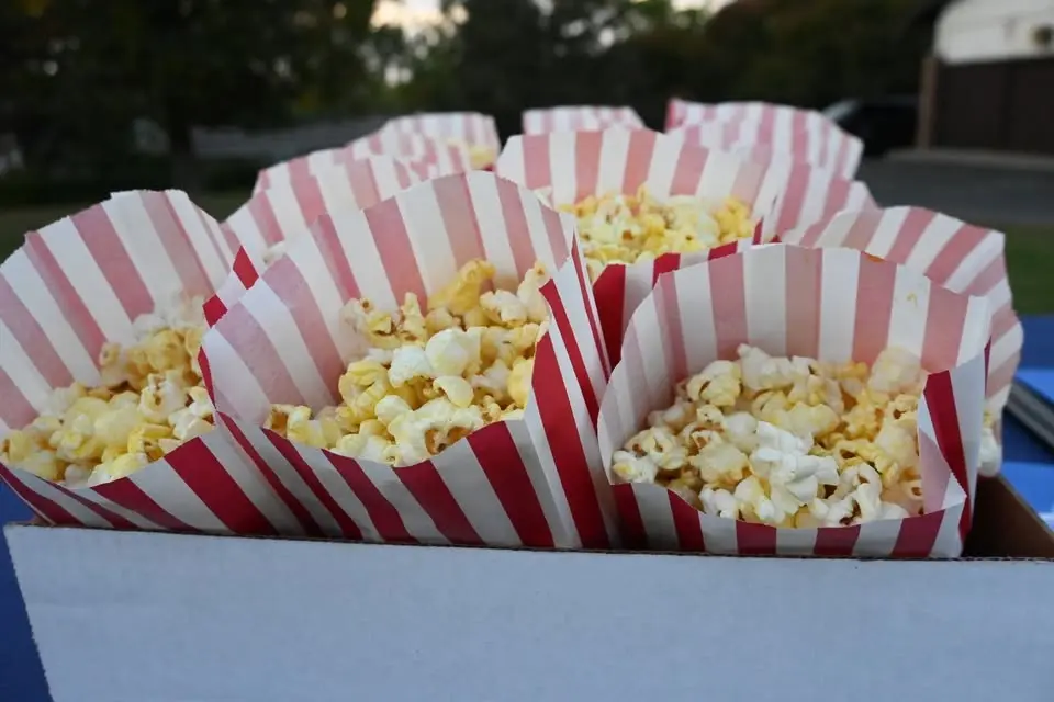 Movie in the Park: Zootopia II (Spanish Subtitles)