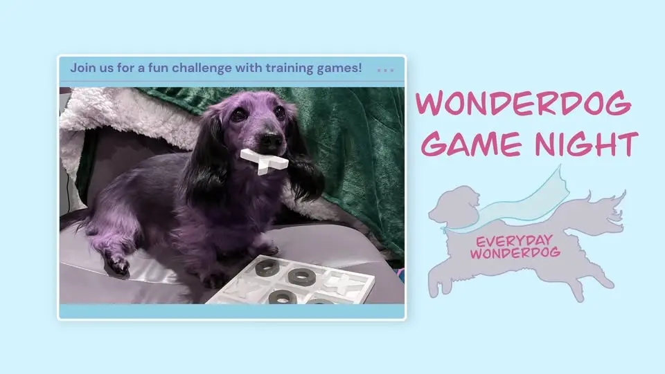 Wonderdog Game Night