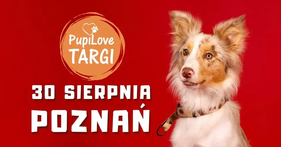 PupiLove Targi w Poznaniu 30.08.2026