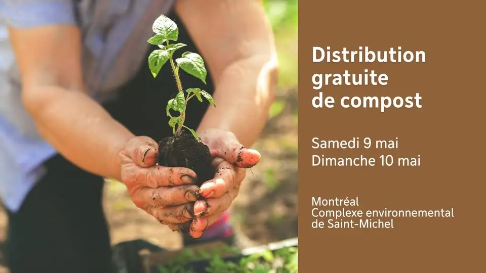 Distribution gratuite de compost à Montréal