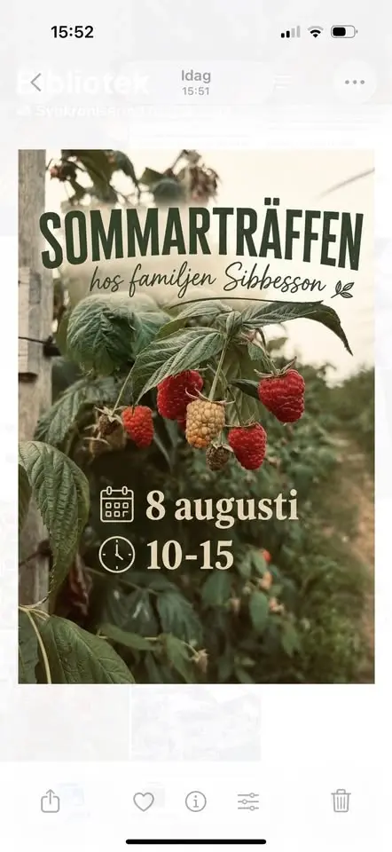 Sommarträffen 