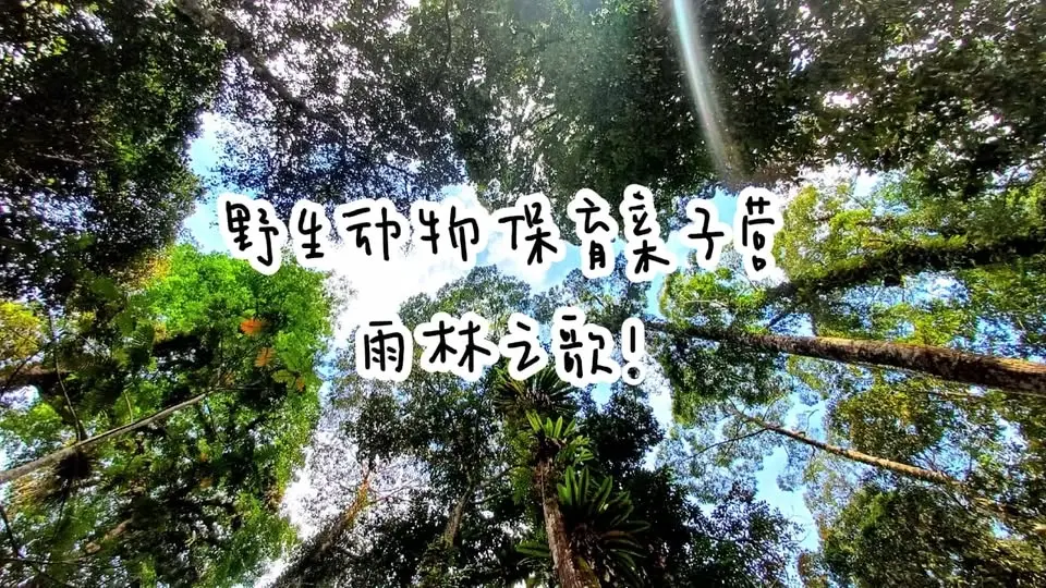 野生动物保育亲子营(13): 雨林之歌