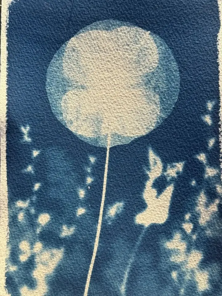 Exposition : Balade bleue, poésie végétale par Jislen Butazzoni