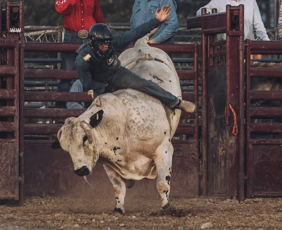 Friday Rodeo