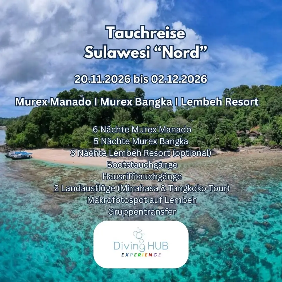 Tauchreise Sulawesi "Nord" vom 20.11 - 02.12.2026