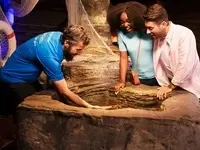 Sea Life London Aquarium  5 Way Multi Attractions Passes
