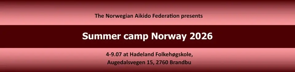 Aikido summer camp Brandbu