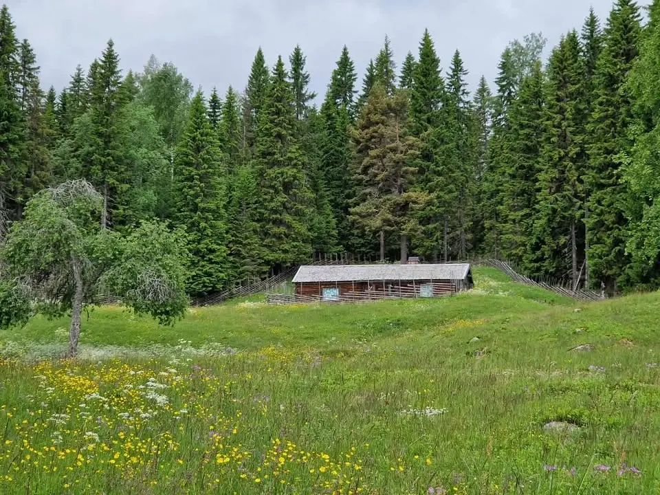 Brickbandsvävning på Granbodåsen