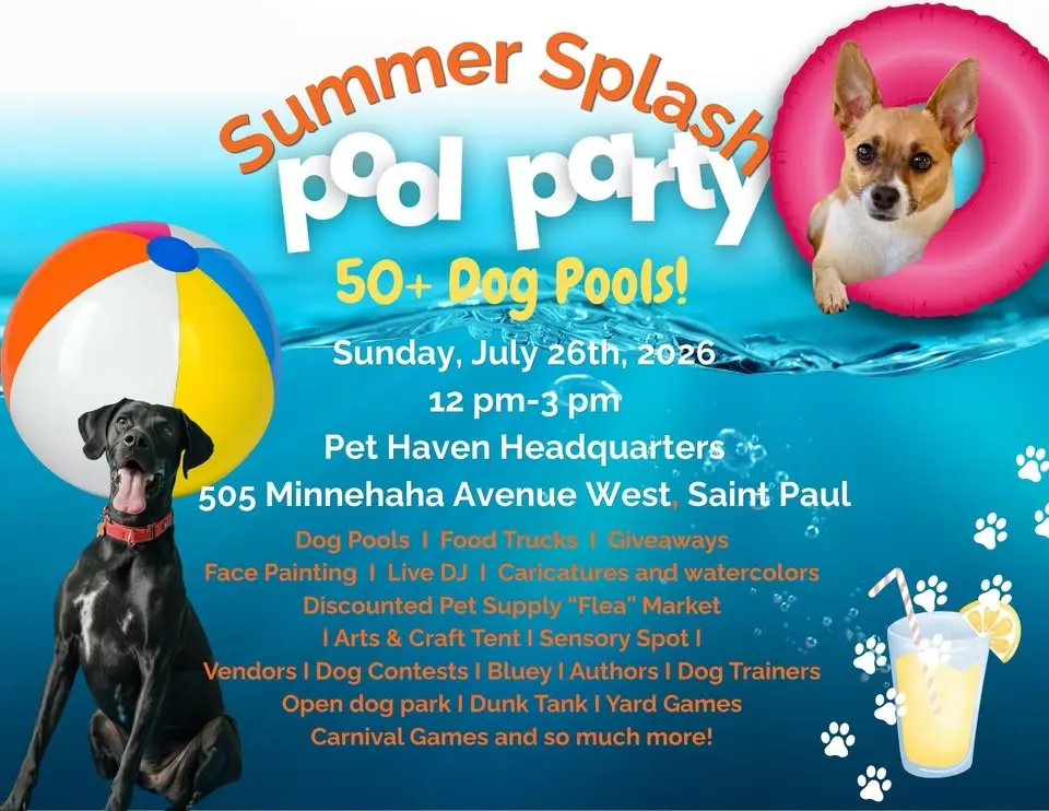 Summer Splash - The Dog Event of the Year!