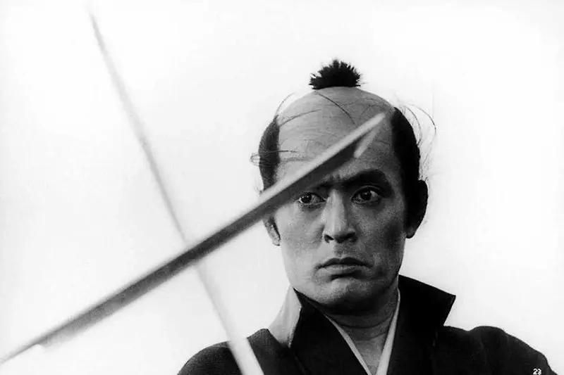 Samurai Rebellion