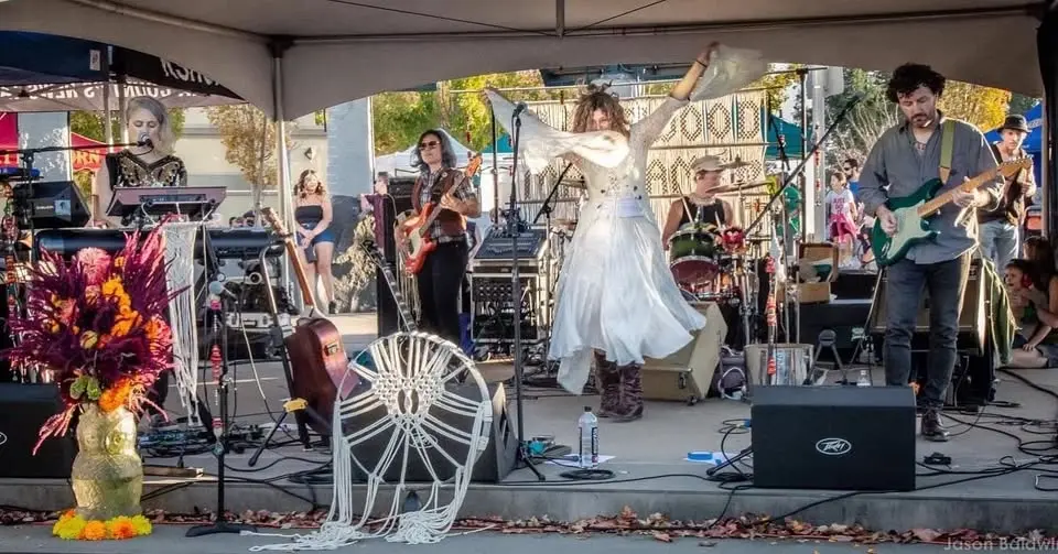 Fleetwood Macrame