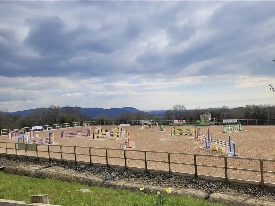 Show Jumping Show