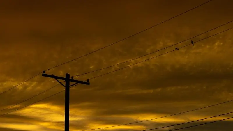 Composition in Photography