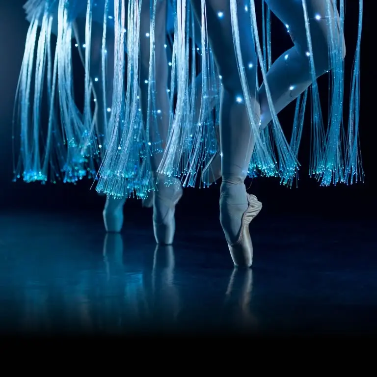 Ballet of Lights: A Bela Adormecida em um espetáculo cintilante | Goiânia